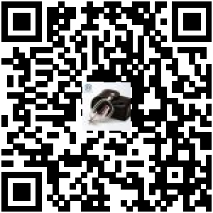 Code QR du produit