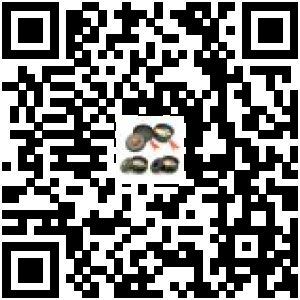 Code QR du produit