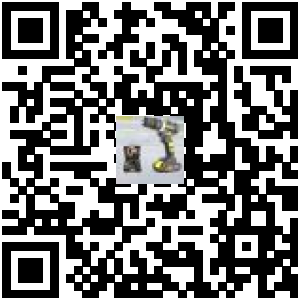 Code QR du produit