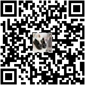 Code QR du produit