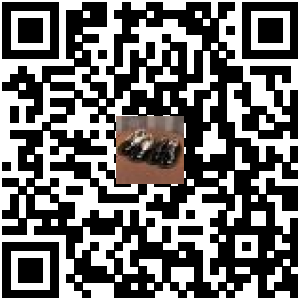 Code QR du produit