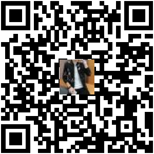 Code QR du produit