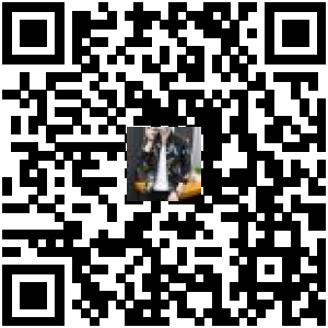 Code QR du produit