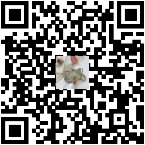 Code QR du produit