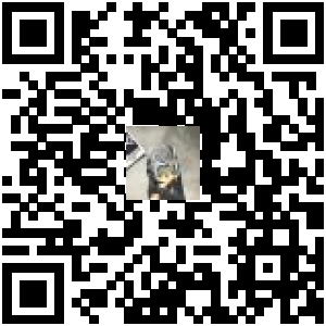 Code QR du produit