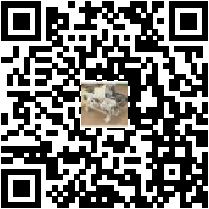 Code QR du produit