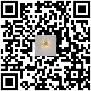 Code QR du produit
