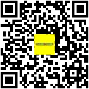 Code QR du produit