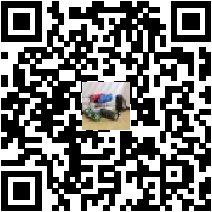 Code QR du produit