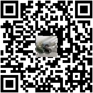 Code QR du produit