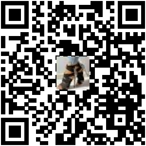 Code QR du produit