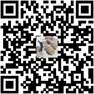 Code QR du produit