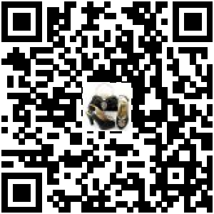 Code QR du produit