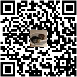 Code QR du produit