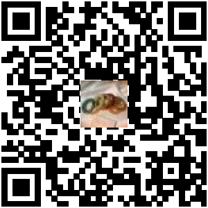 Code QR du produit