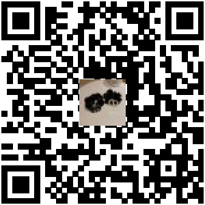 Code QR du produit