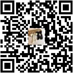 Code QR du produit