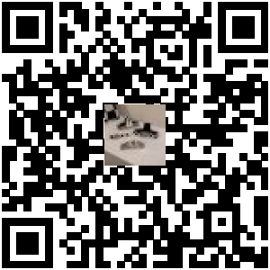 Code QR du produit