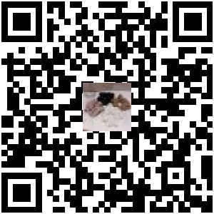 Code QR du produit