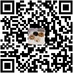 Code QR du produit