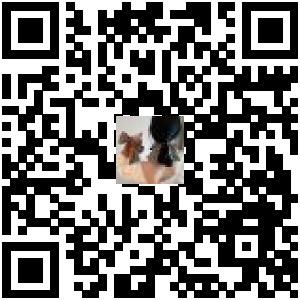 Code QR du produit