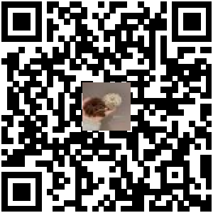 Code QR du produit