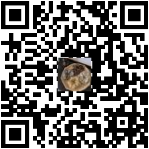 Code QR du produit