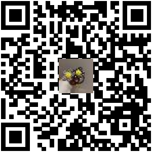 Code QR du produit
