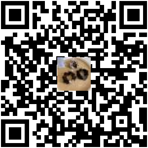 Code QR du produit