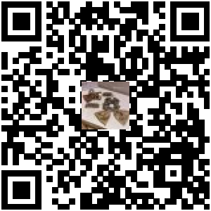 Code QR du produit