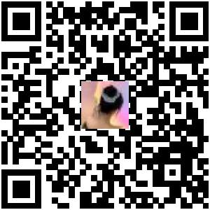 Code QR du produit