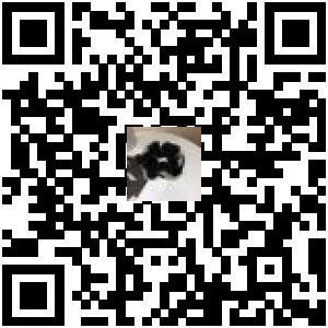 Code QR du produit