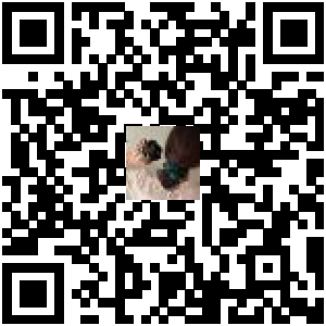 Code QR du produit