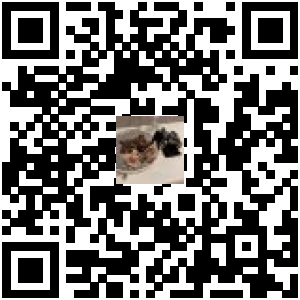 Code QR du produit