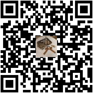 Code QR du produit