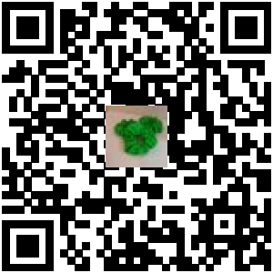 Code QR du produit