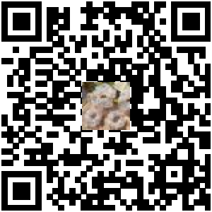 Code QR du produit