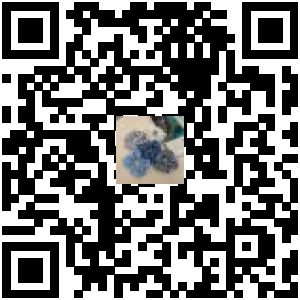 Code QR du produit