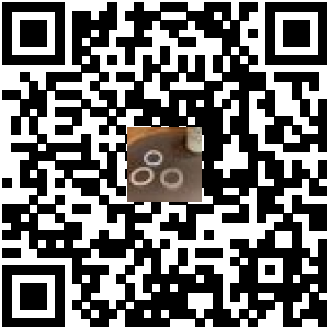 Code QR du produit