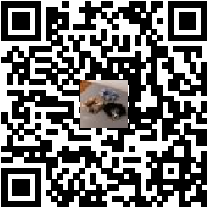 Code QR du produit
