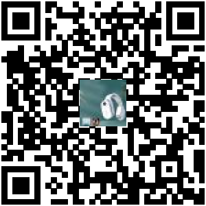 Code QR du produit