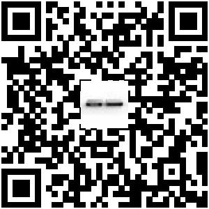 Code QR du produit
