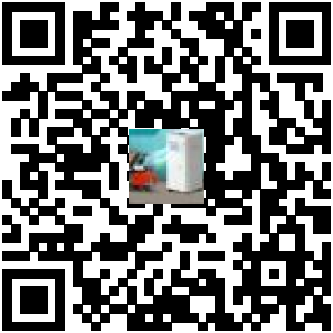 Code QR du produit