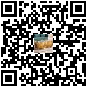 Code QR du produit