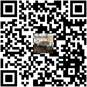 Code QR du produit