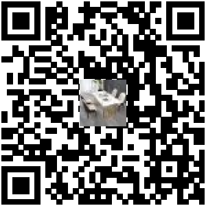 Code QR du produit