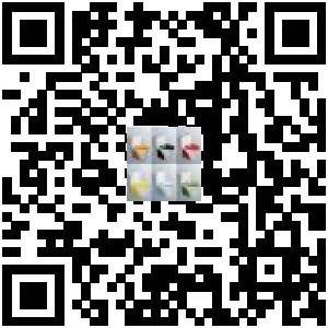 Code QR du produit
