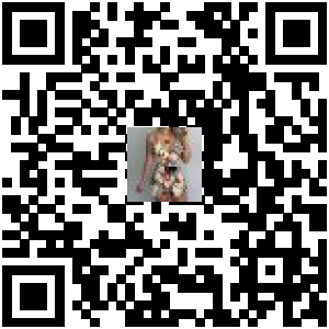 Code QR du produit
