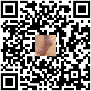 Code QR du produit