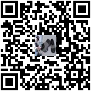 Code QR du produit